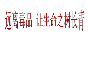 中小学生禁毒教育课件.ppt