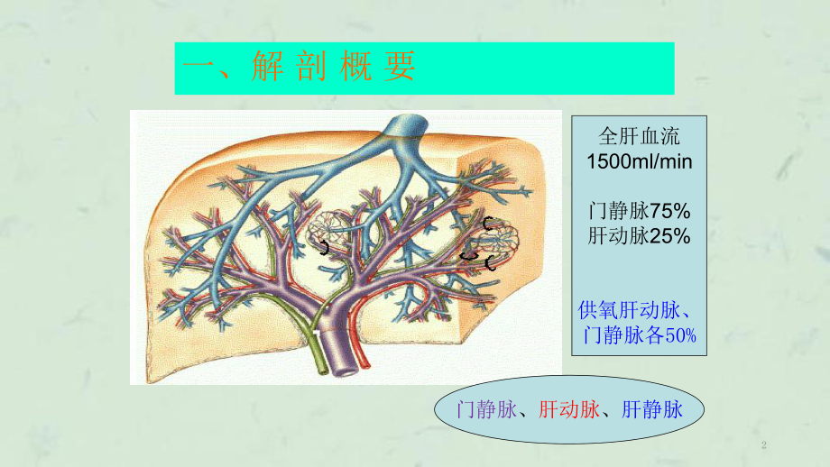 门脉系统解剖及门脉高压病理生理课件.ppt_第2页