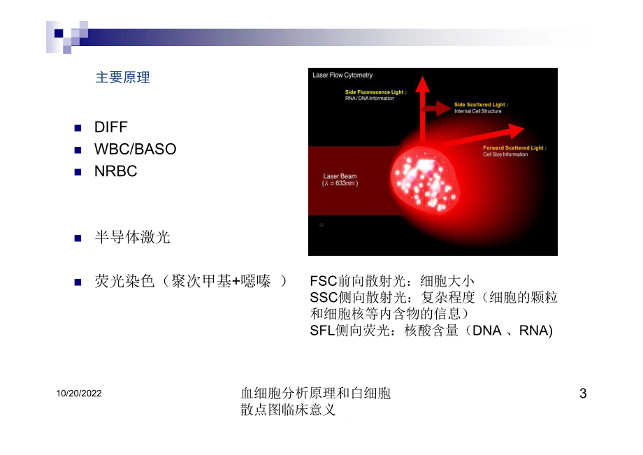 血细胞分析原理和白细胞散点图临床意义培训课件.ppt_第3页