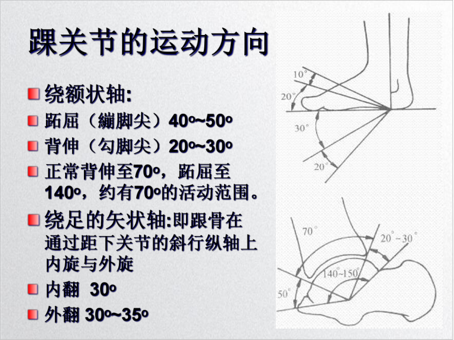 踝关节与足运动学培训课程课件.ppt_第3页