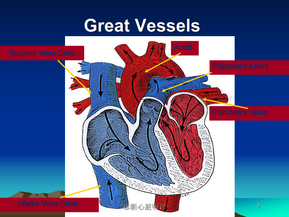 诊断心脏听诊培训课件.ppt_第3页