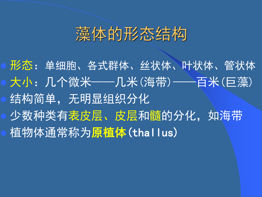 真核藻类植物学课件.ppt_第2页