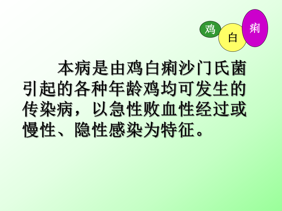 禽病学禽病临床诊断彩色图谱21鸡白痢西南课件.ppt_第2页