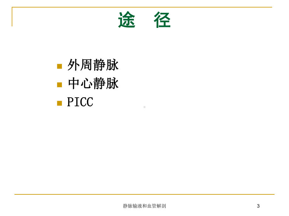 静脉输液和血管解剖培训课件.ppt_第3页