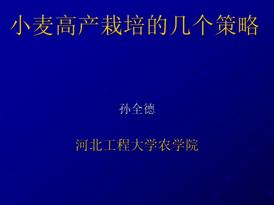 小麦高产栽培的几个策略课件.ppt_第1页