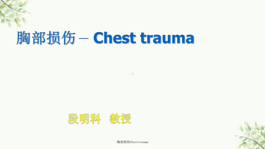 胸部损伤Chesttrauma课件.ppt_第1页