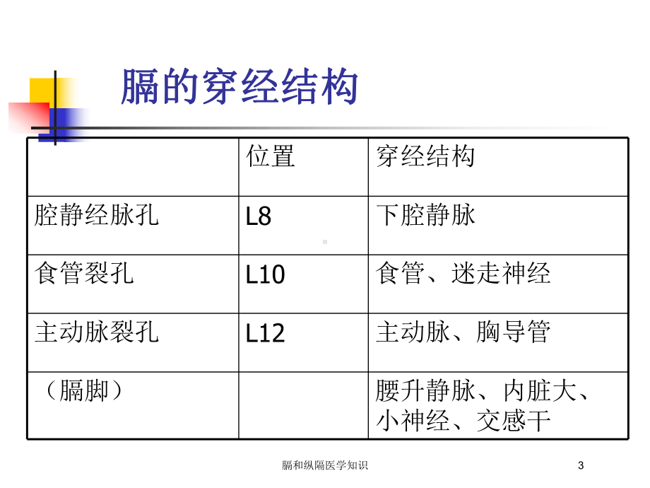 膈和纵隔医学知识培训课件.ppt_第3页