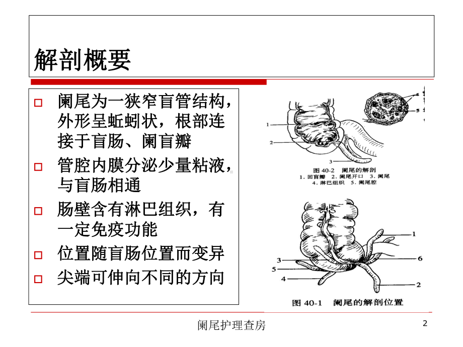 阑尾护理查房培训课件.ppt_第2页