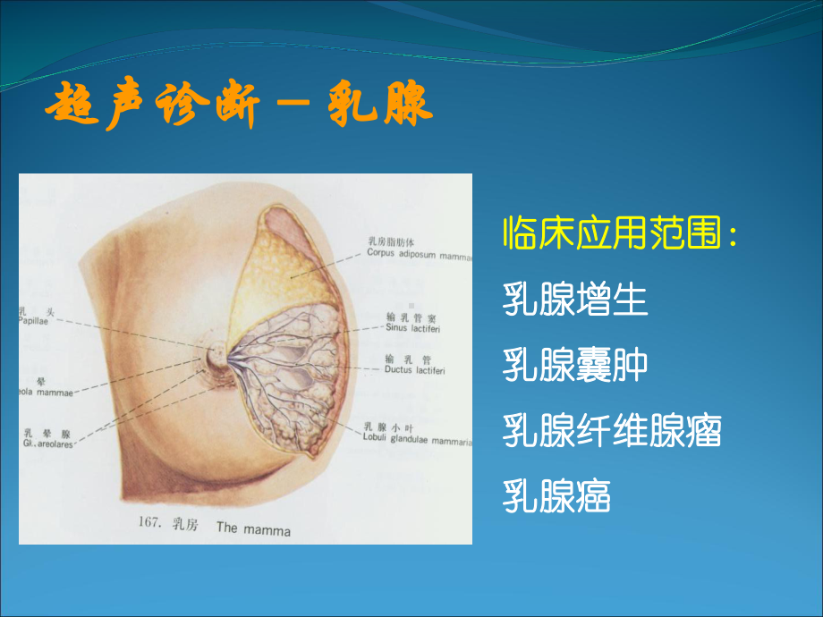 浅表器官的超声诊断-共77张课件.ppt_第3页