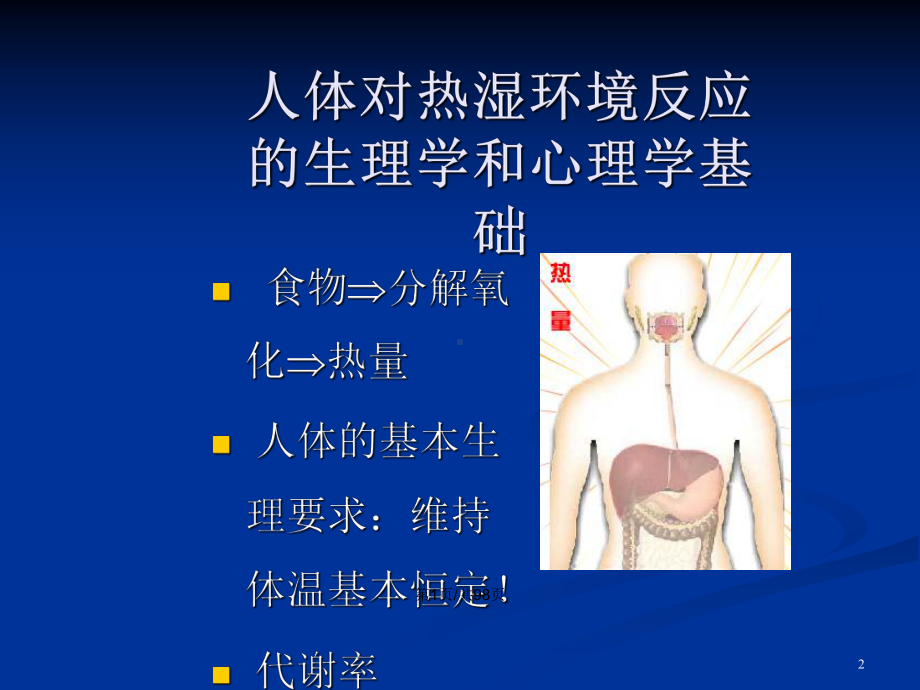 人体反应-学习教案课件.pptx_第2页