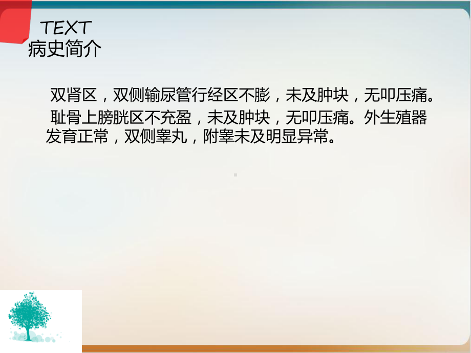 肾部分切除第二季度护理查房培训课件.ppt_第2页