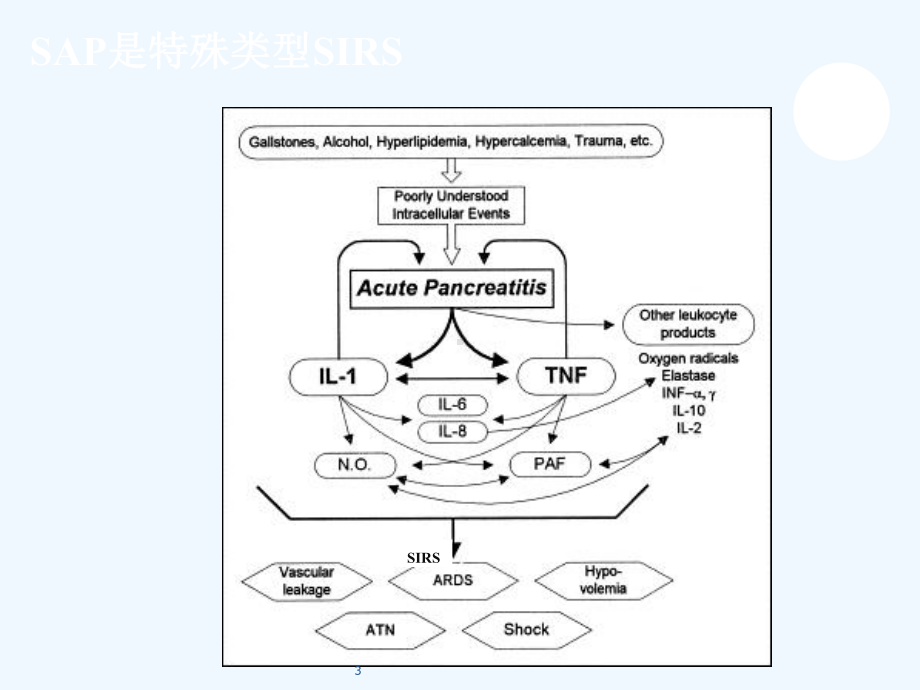 重症胰腺炎与SIRS课件.ppt_第3页