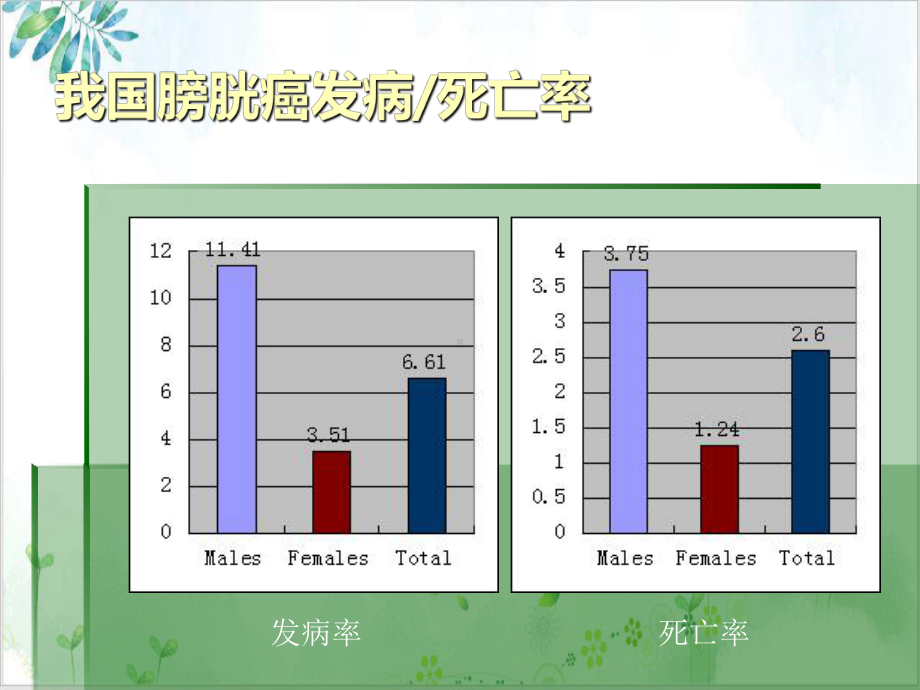 非肌层浸润性膀胱癌的诊断治疗课件.pptx_第2页