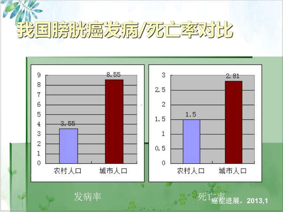 非肌层浸润性膀胱癌的诊断治疗课件.pptx_第3页