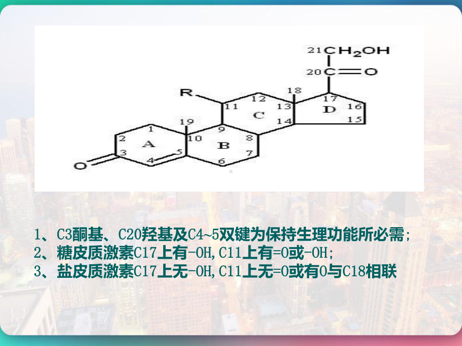 药理学-肾上腺皮质激素类药物-课件.pptx_第2页