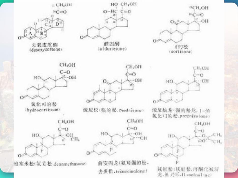 药理学-肾上腺皮质激素类药物-课件.pptx_第3页