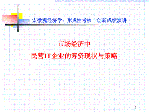 市场经济中民营IT企业的筹资现状与策略课件.ppt