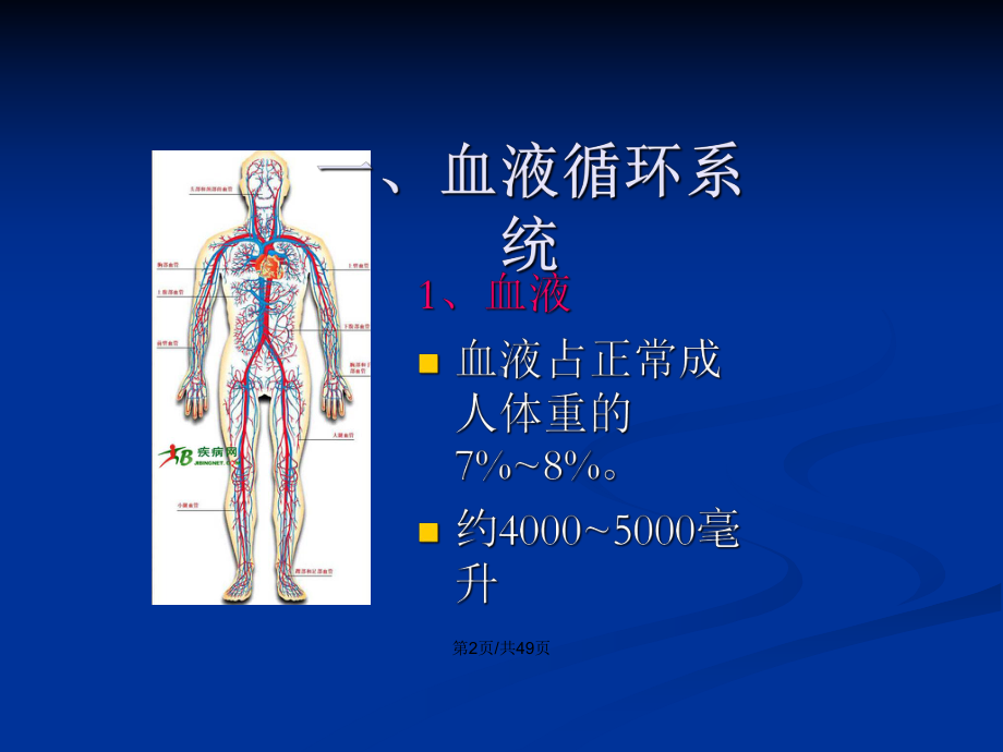 人体八大系统-循环系统学习教案课件.pptx_第3页