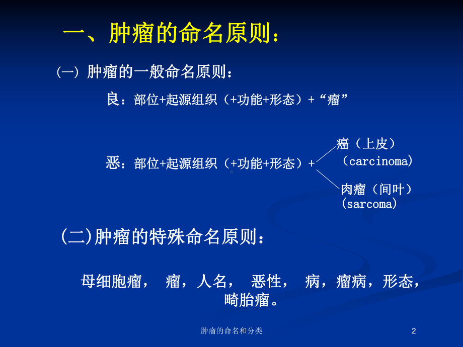 肿瘤的命名和分类培训课件.ppt_第2页