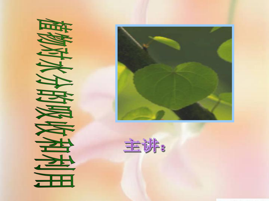 植物对水分的吸收和利用课件.ppt_第1页