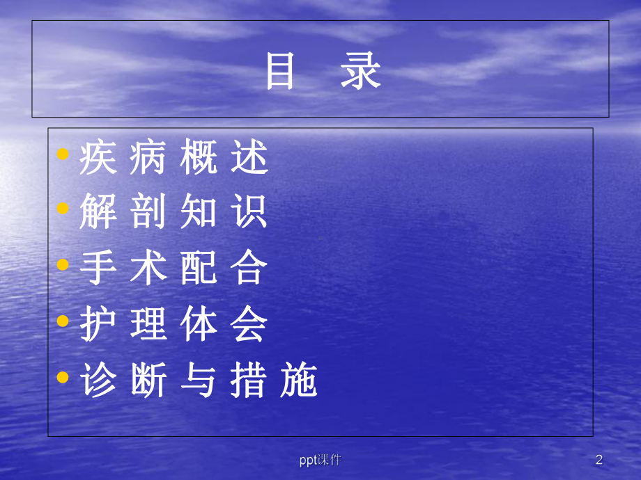 胸腔镜肺大疱切除-课件.ppt_第2页