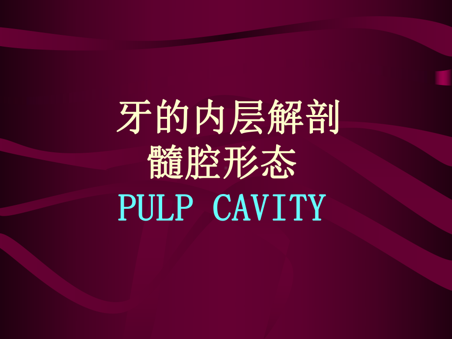 牙的内层解剖髓腔形态PULPCAVITY汇总课件.ppt_第1页