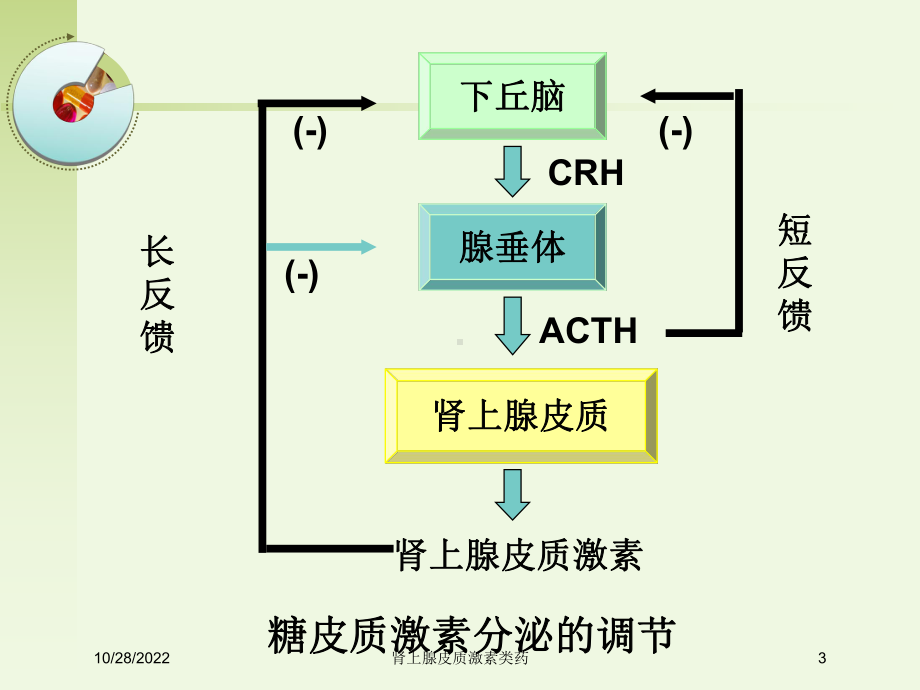 肾上腺皮质激素类药培训课件.ppt_第3页