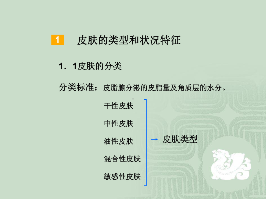 皮肤的类型和健美标准课件.ppt_第3页