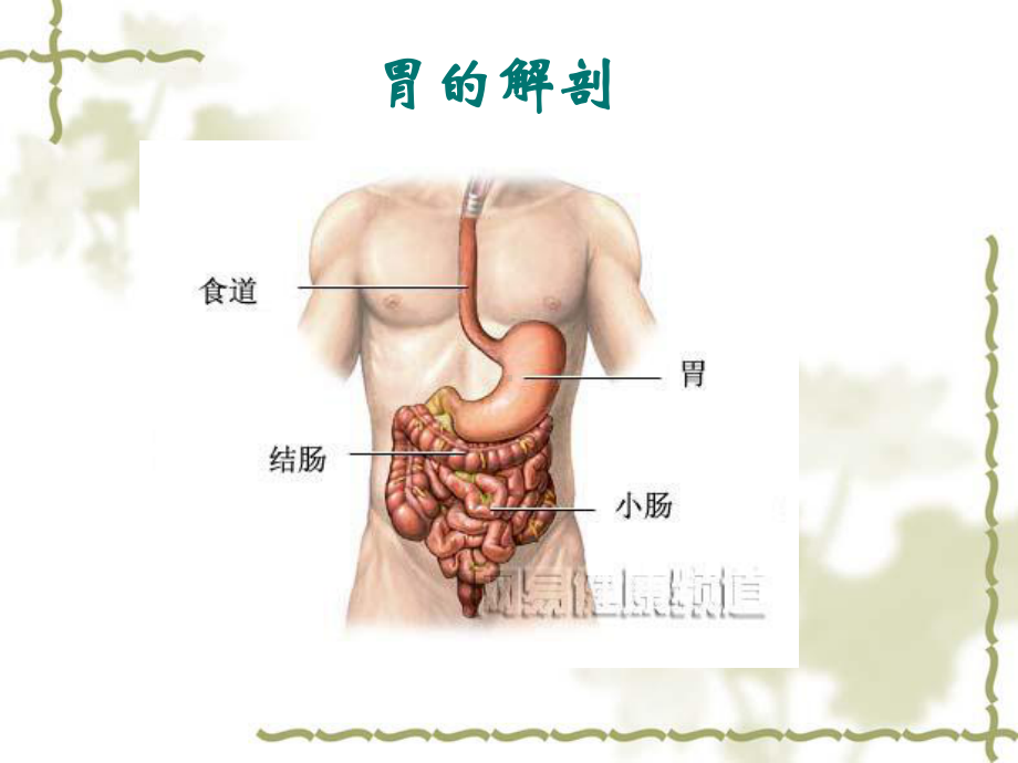 腹腔镜胃癌根治术86349课件.ppt_第3页