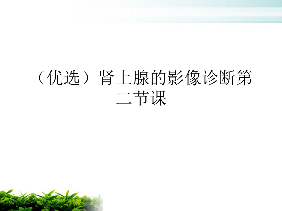 肾上腺的影像诊断第二节课示范课件.ppt_第2页