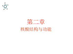 核酸的结构与功能-课件.ppt