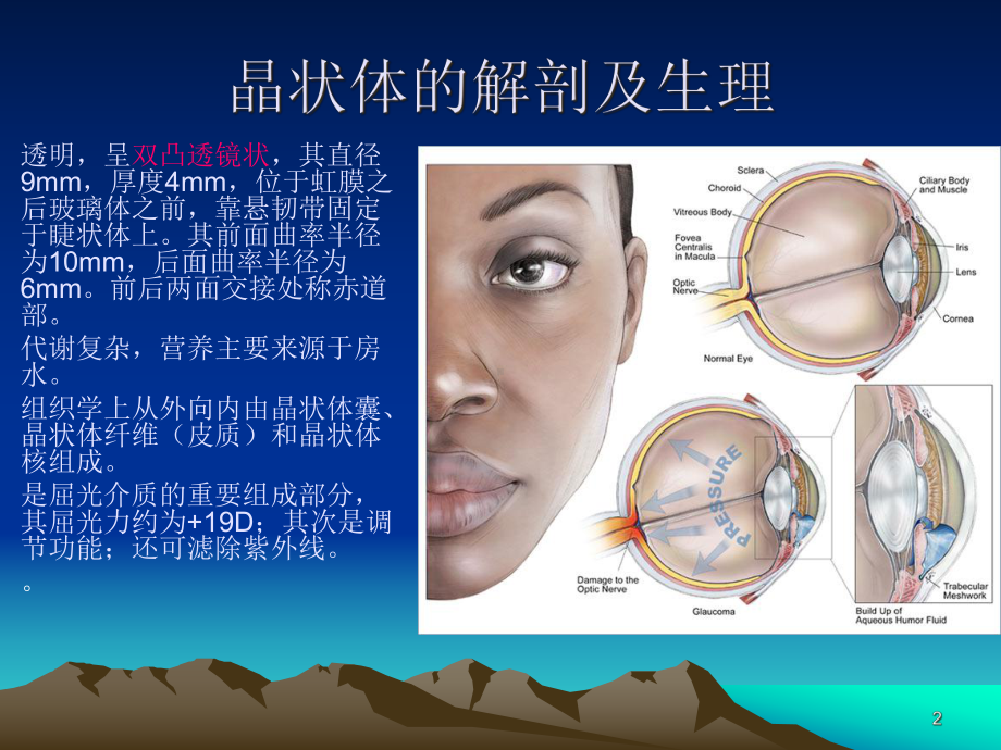 白内障精选课件.ppt_第2页