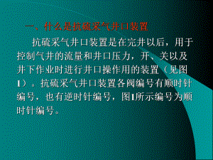 抗硫采气井口装置分解课件.ppt