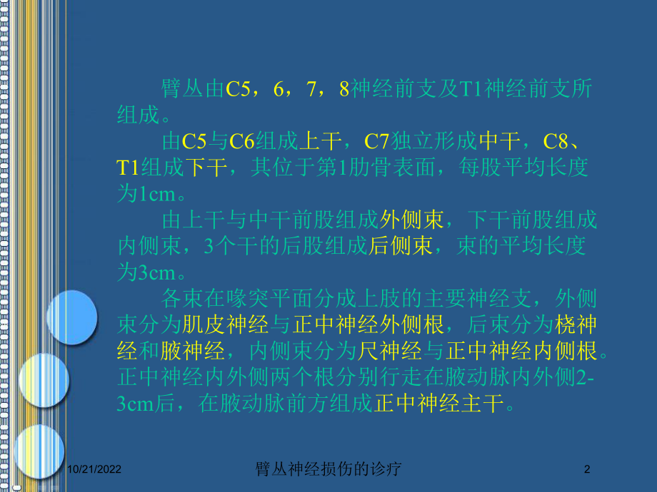 臂丛神经损伤的诊疗培训课件.ppt_第2页