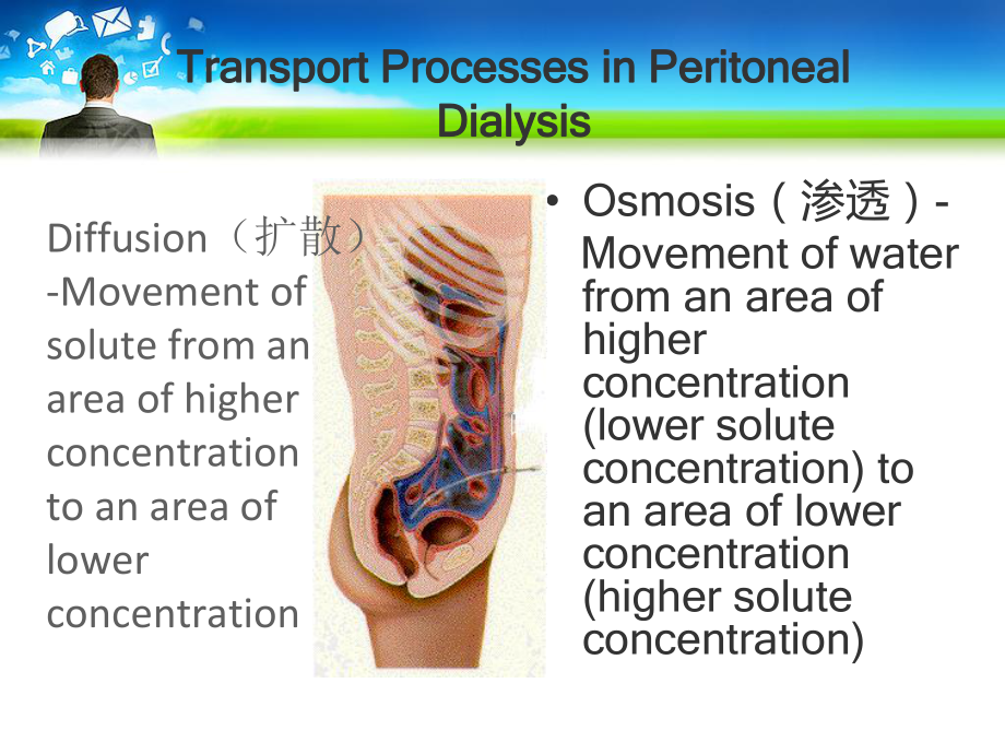 腹膜透析充分性汇编课件.ppt_第2页