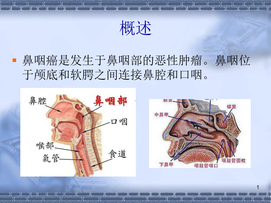 防治鼻咽癌的中药课件.pptx_第1页