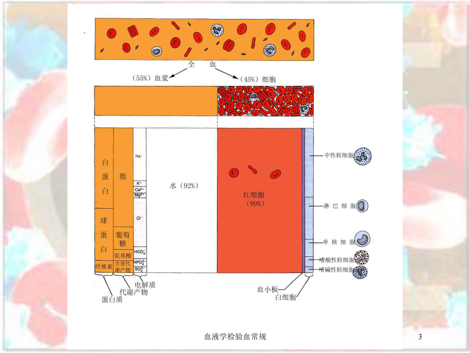 血液学检验血常规培训课件.ppt_第3页