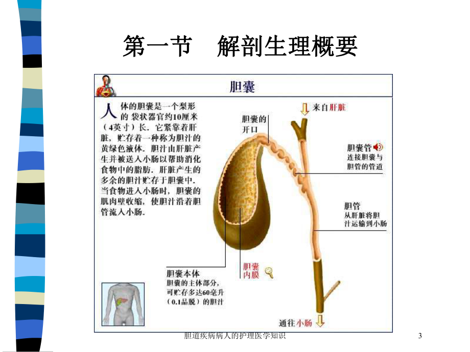 胆道疾病病人的护理医学知识培训课件.ppt_第3页