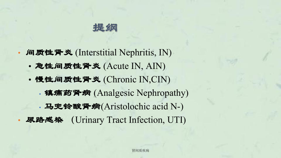 肾间质疾病课件.ppt_第2页