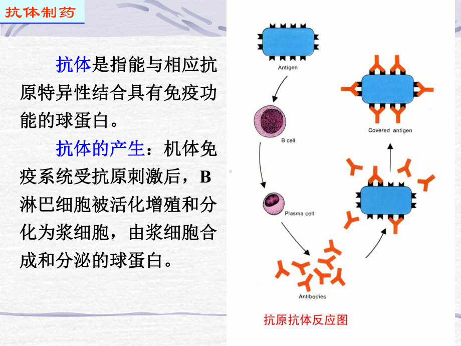 抗体制药-课件.ppt_第3页