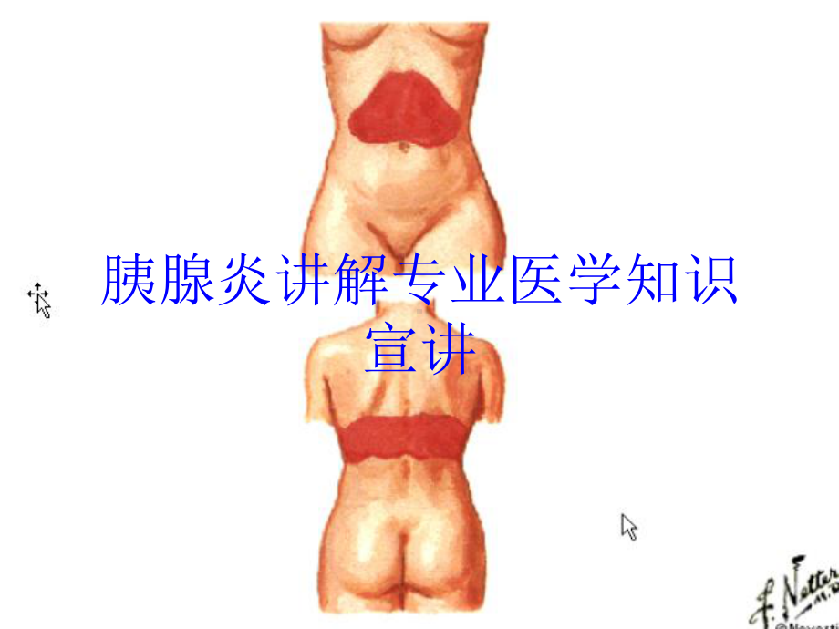 胰腺炎讲解专业医学知识宣讲培训课件.ppt_第1页