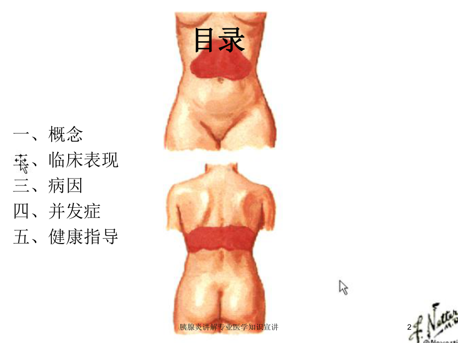 胰腺炎讲解专业医学知识宣讲培训课件.ppt_第2页