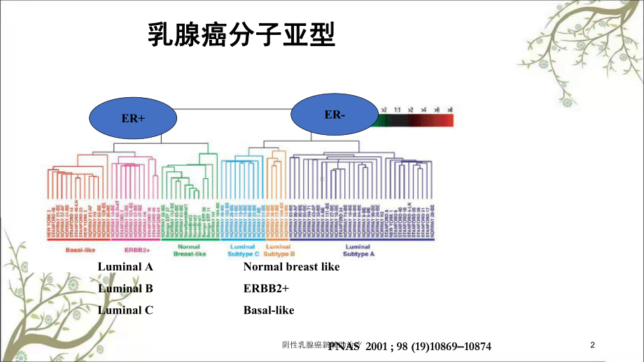 阴性乳腺癌新辅助治疗课件.ppt_第2页