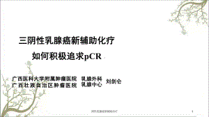 阴性乳腺癌新辅助治疗课件.ppt