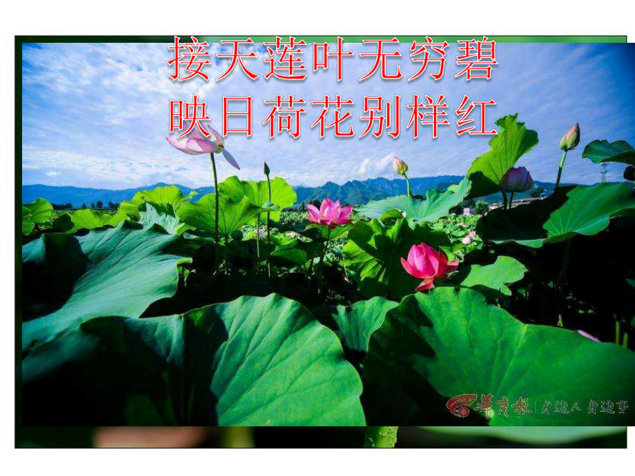 爱莲说(优秀课件).ppt_第2页