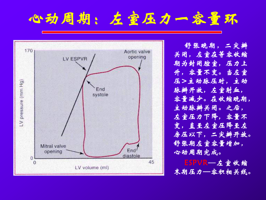 慢性肾衰患者心脏结构与功能的评价课件.ppt_第3页