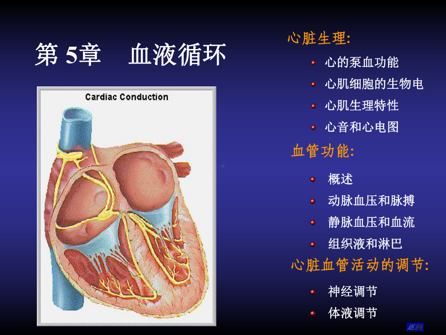 循环生理080320上课件.ppt_第1页