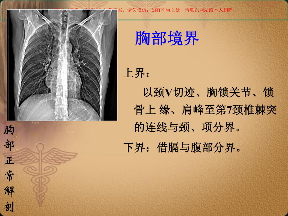 胸部正常CTMRI课件.ppt_第2页