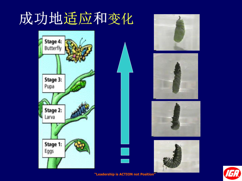 战略性的零售管理课件.ppt_第3页