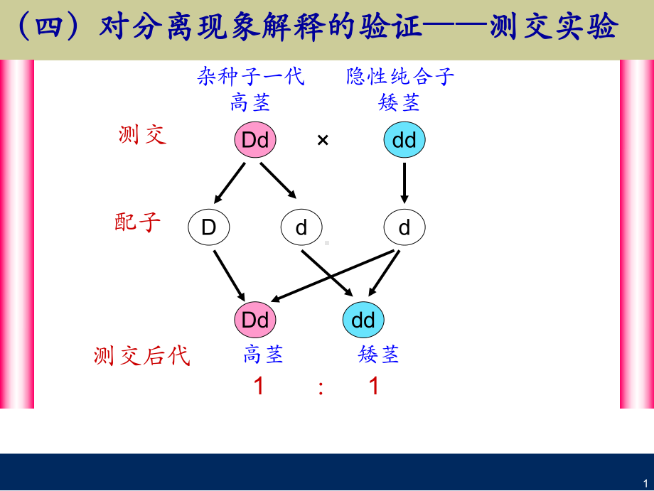 孟德尔分离定律解题思路课件.ppt_第2页